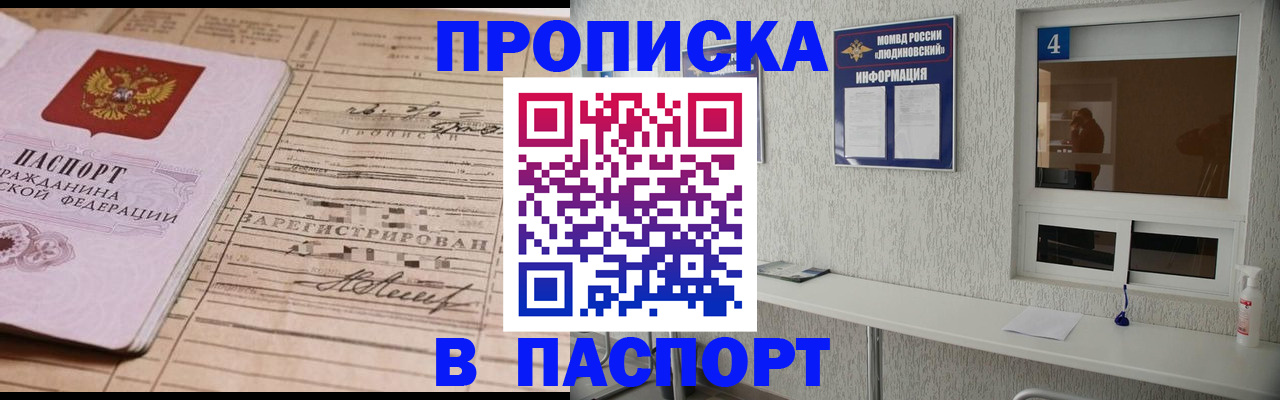 временная регистрация в Щиграх